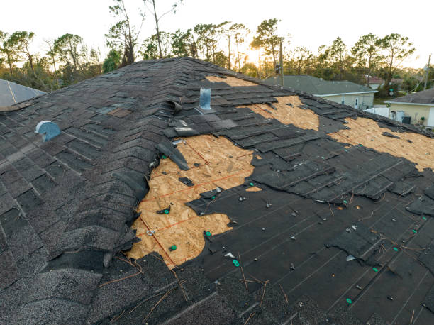 Best Roof Ventilation Installation  in Conrad, MT
